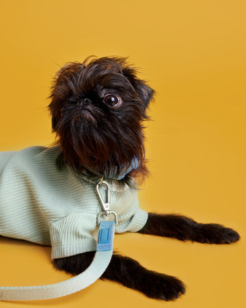 Short Sleeve T-Shirt เสื้อยืด