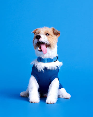 No Sleeve T-Shirt เสื้อยืด